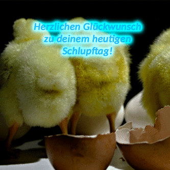 geburtstagsbilder