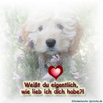 Bilder Valentinstag