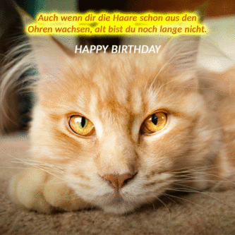 bilder geburtstag mann