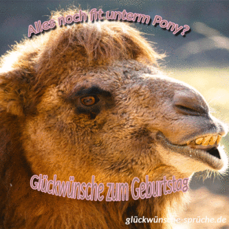 geburtstagsbilder cool