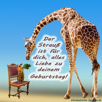 geburtstagswünsche Frau