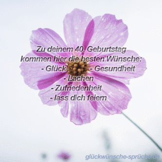 glueckwuensche 40 kostenlos