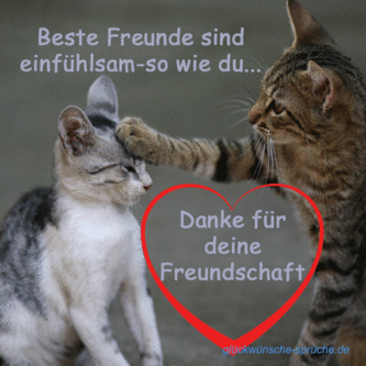 beste freunde bilder